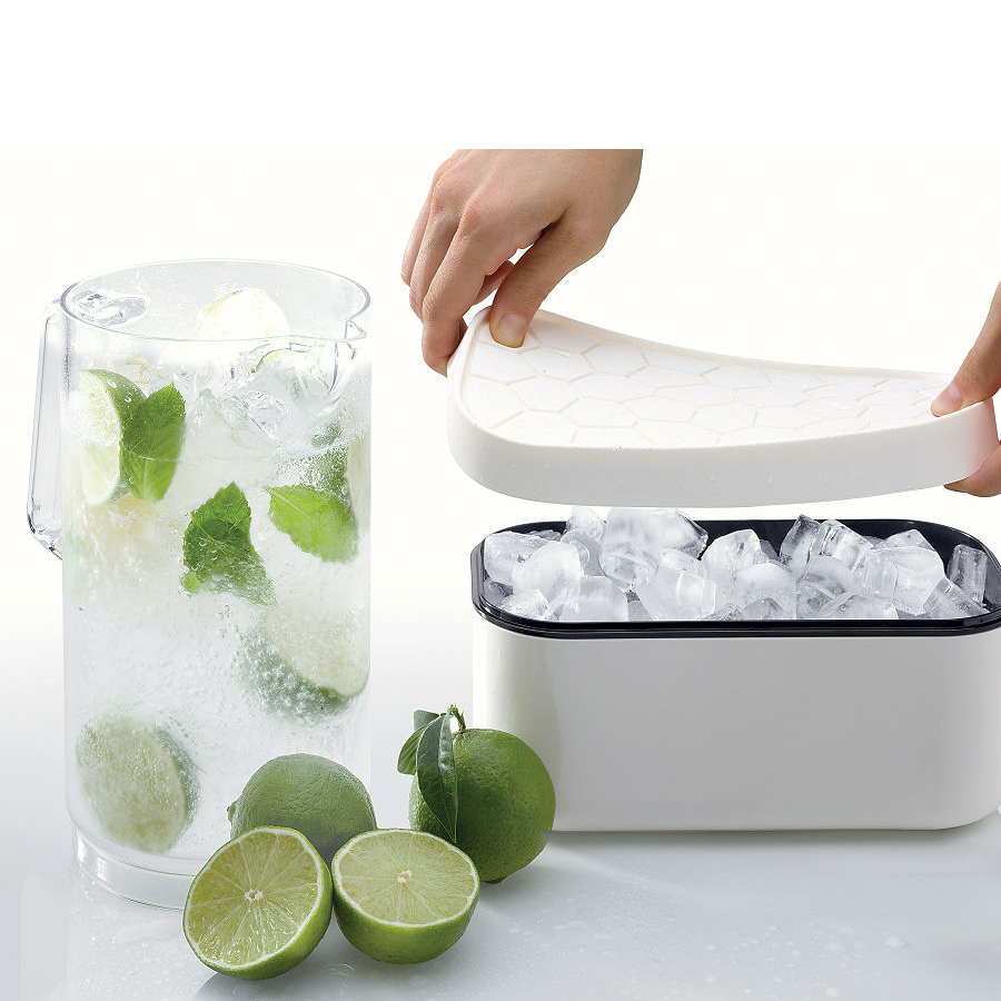 Lekue Ice Box foremka do lodu i pudełko