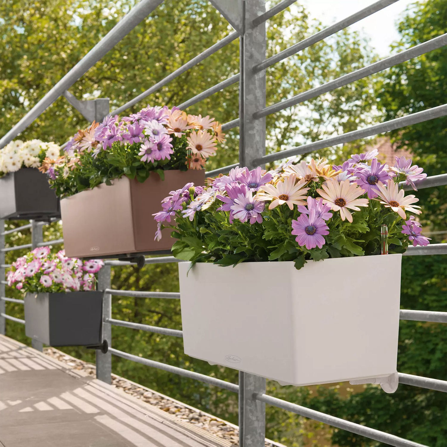 Lechuza Balconera Color donica z wyjmowanym wkadem