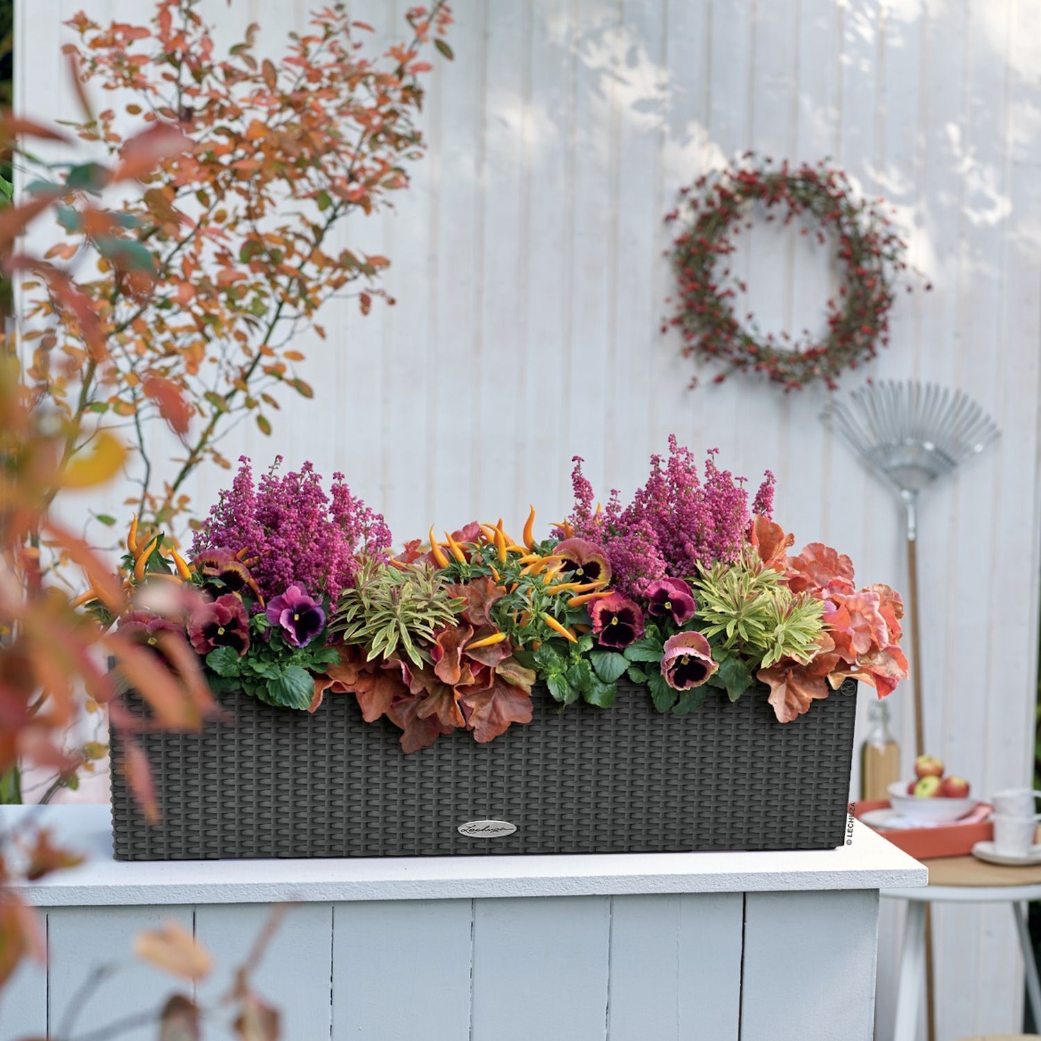 Lechuza Balconera Cottage donica matowa z wyjmowanym wk�adem