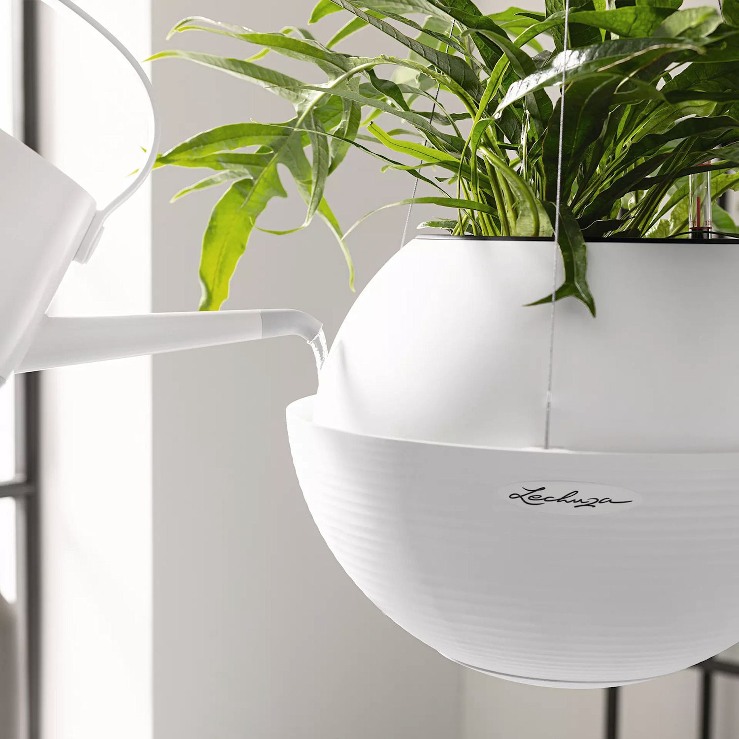 Lechuza BOLA Color Donica wiszca