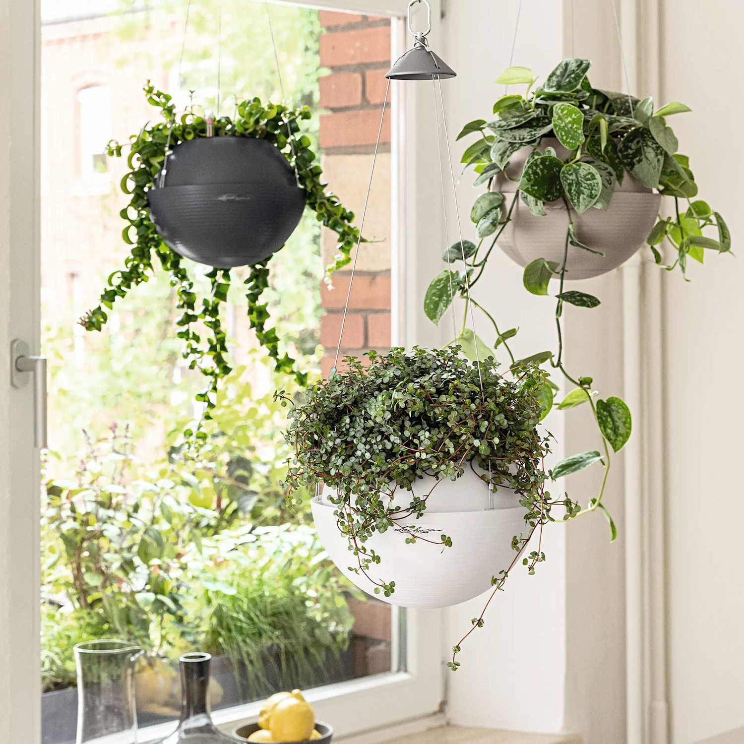 Lechuza BOLA Color Donica wiszca