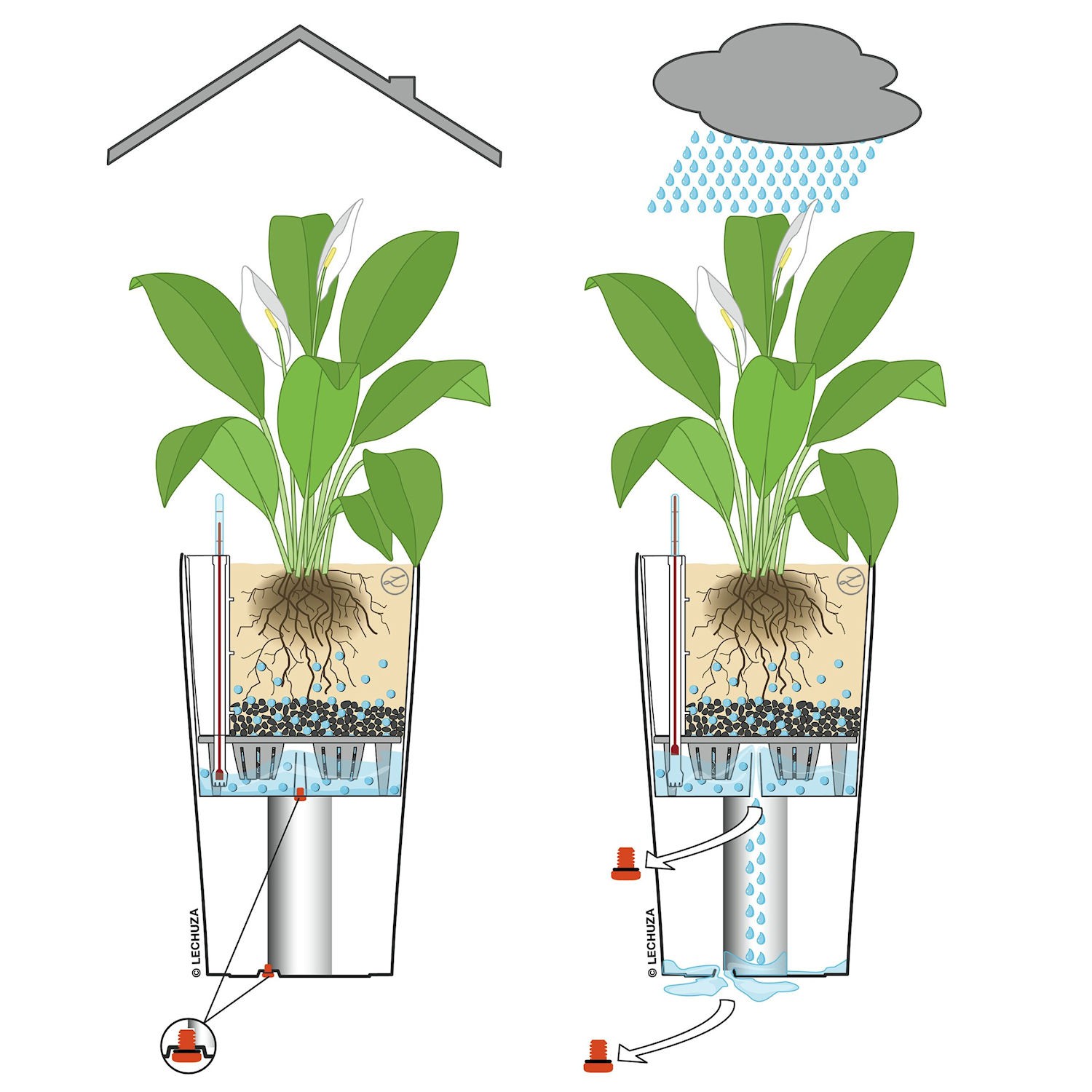 Lechuza CILINDRO Cottage Donica