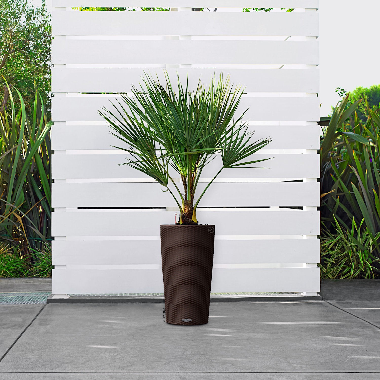 Lechuza CILINDRO Cottage Donica