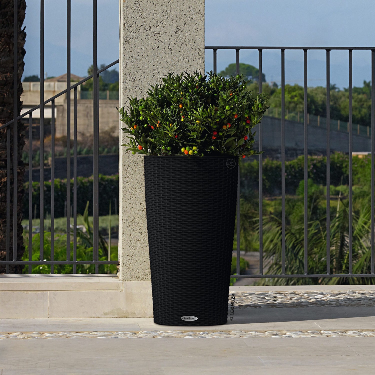 Lechuza CILINDRO Cottage Donica