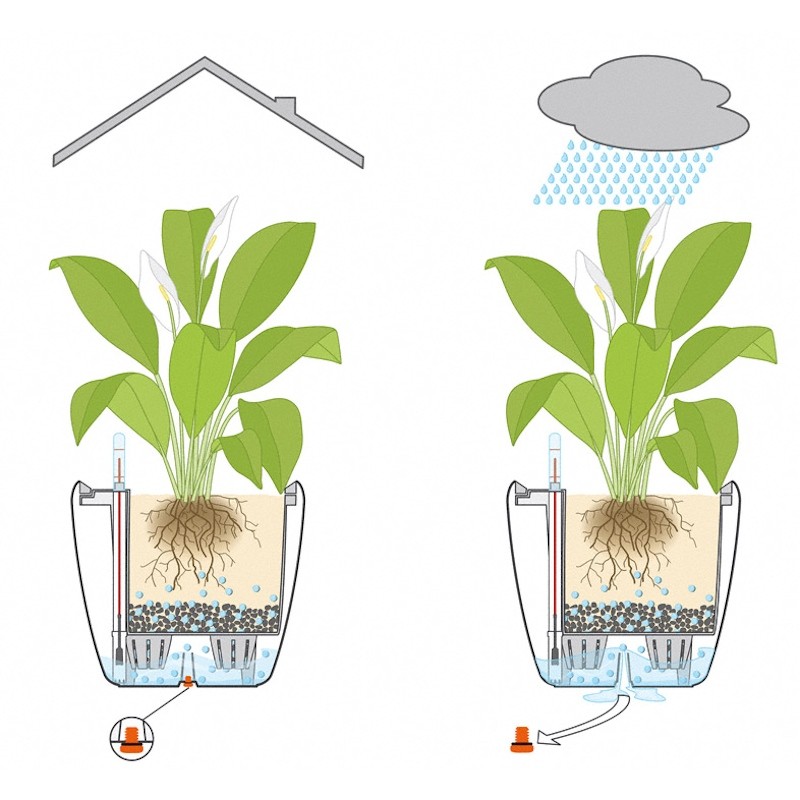 Lechuza Classico Color donica matowa