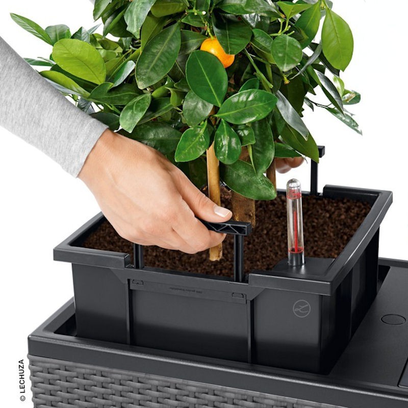 Lechuza Cottage Trio 30 donica matowa z wyjmowanym wk�adem