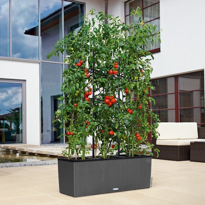 Lechuza Cottage Trio 30 donica matowa z wyjmowanym wk�adem