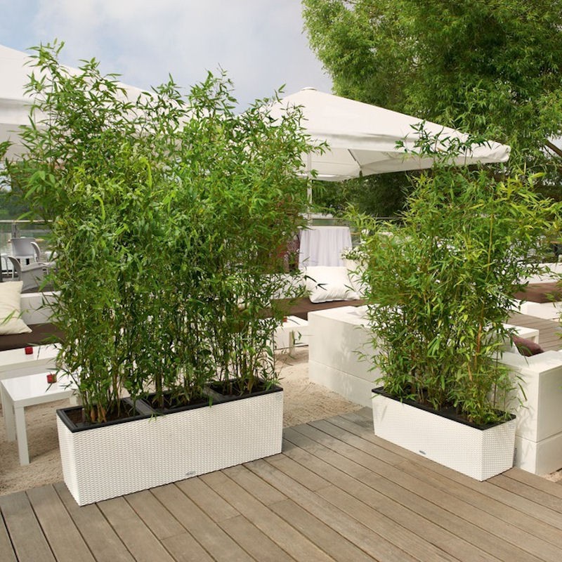 Lechuza Cottage Trio 30 donica matowa z wyjmowanym wk�adem