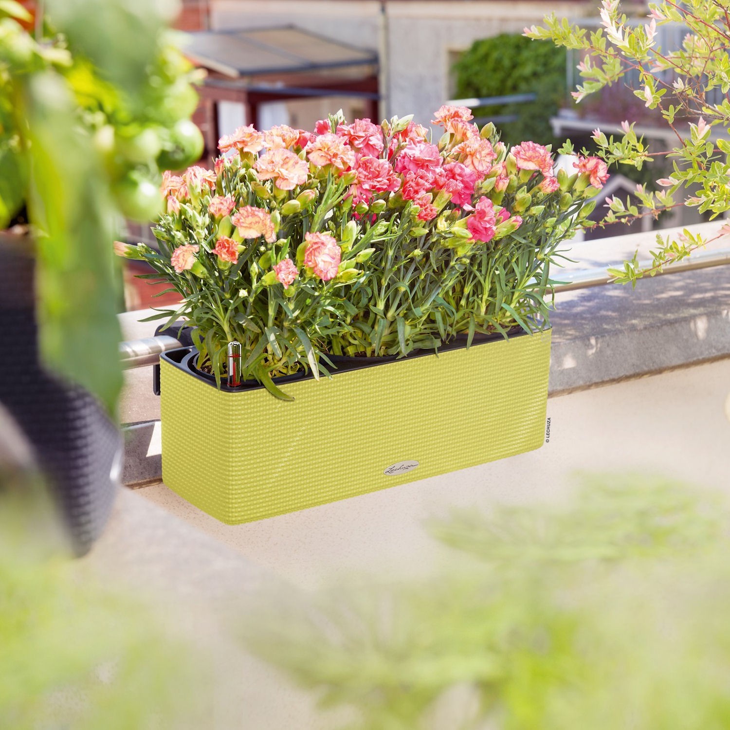 Lechuza CUBE color TRIPLE BALCONISSIMA Donica