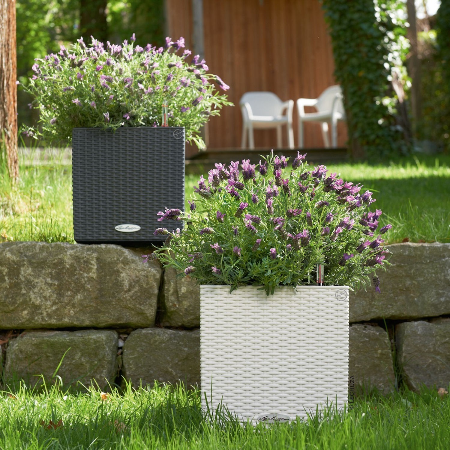 Lechuza Cube Cottage donica matowa z wyjmowanym wkadem