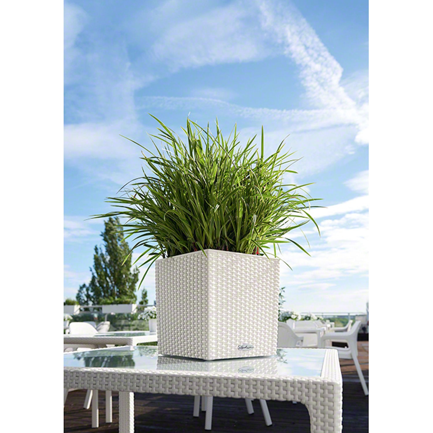 Lechuza Cube Cottage donica matowa z wyjmowanym wk�adem