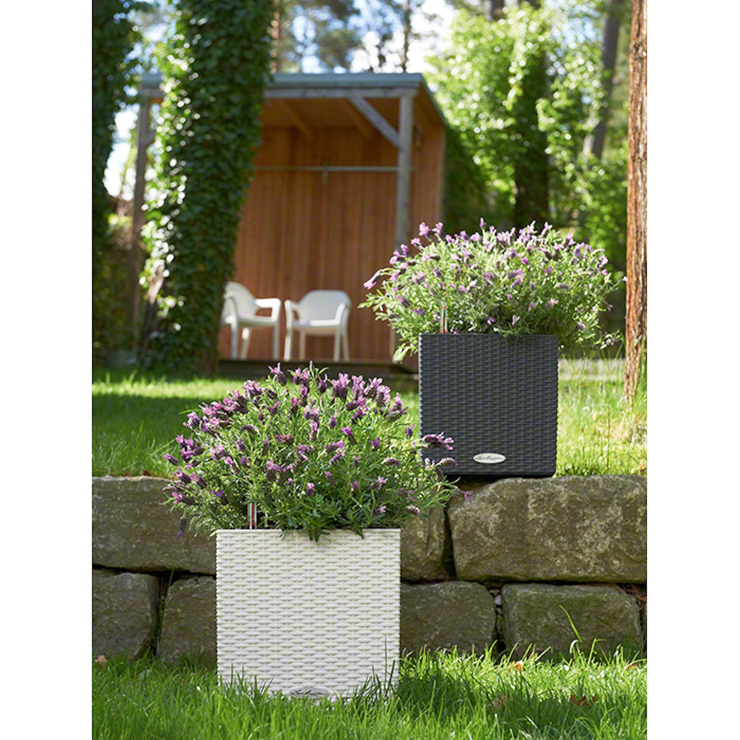 Lechuza Cube Cottage donica matowa z wyjmowanym wkadem