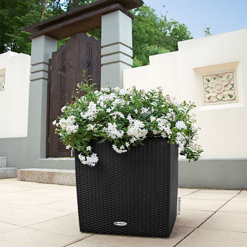 Lechuza Cube Cottage donica matowa z wyjmowanym wkadem