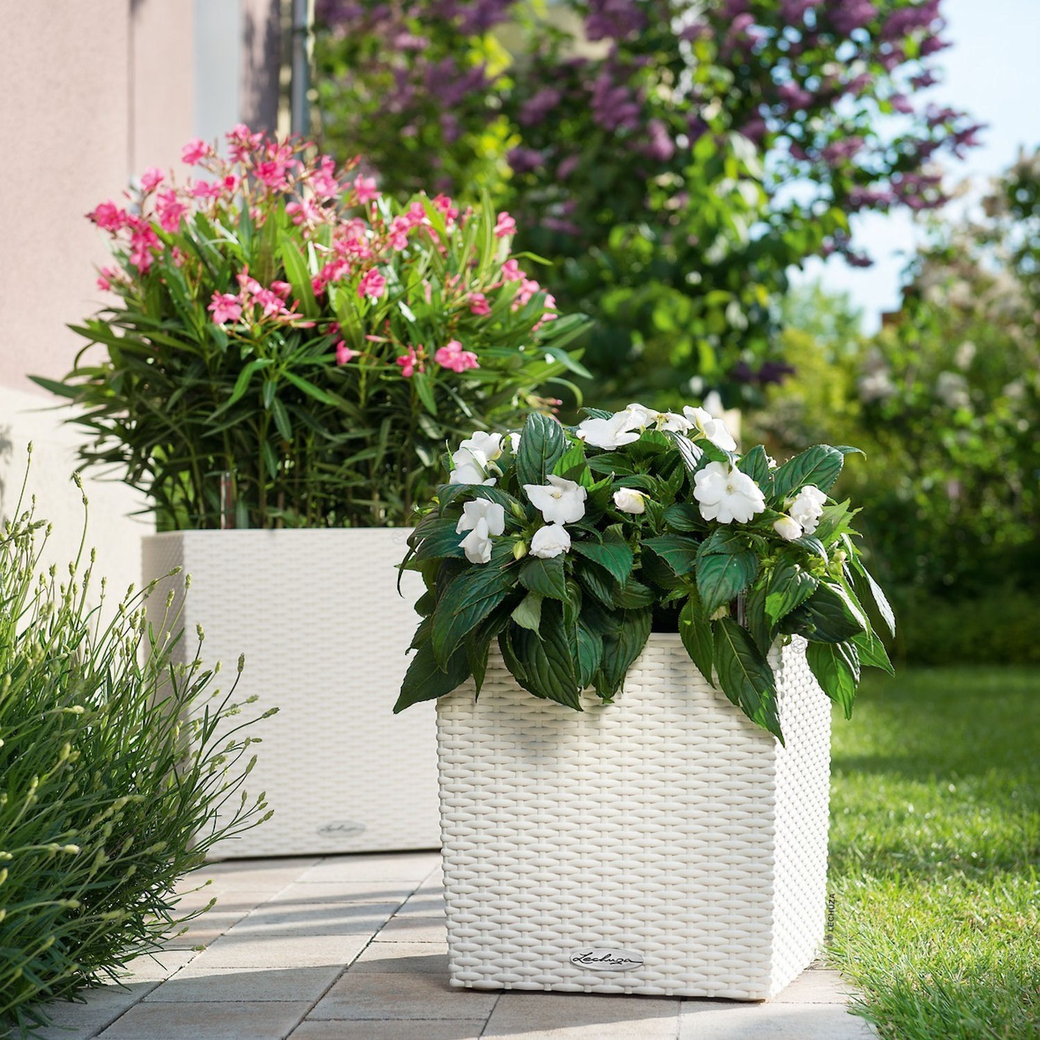 Lechuza Cube Cottage donica matowa z wyjmowanym wkadem