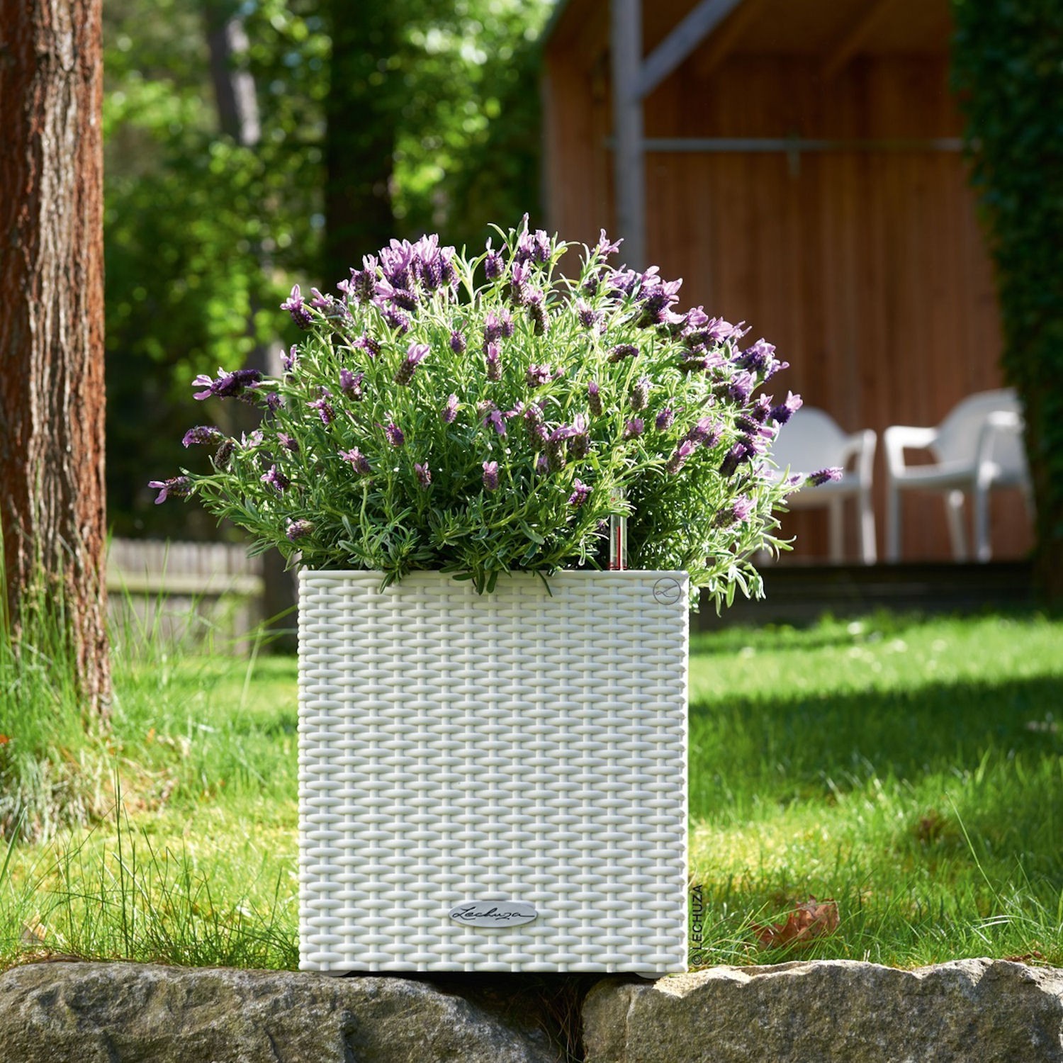 Lechuza Cube Cottage donica matowa z wyjmowanym wkadem