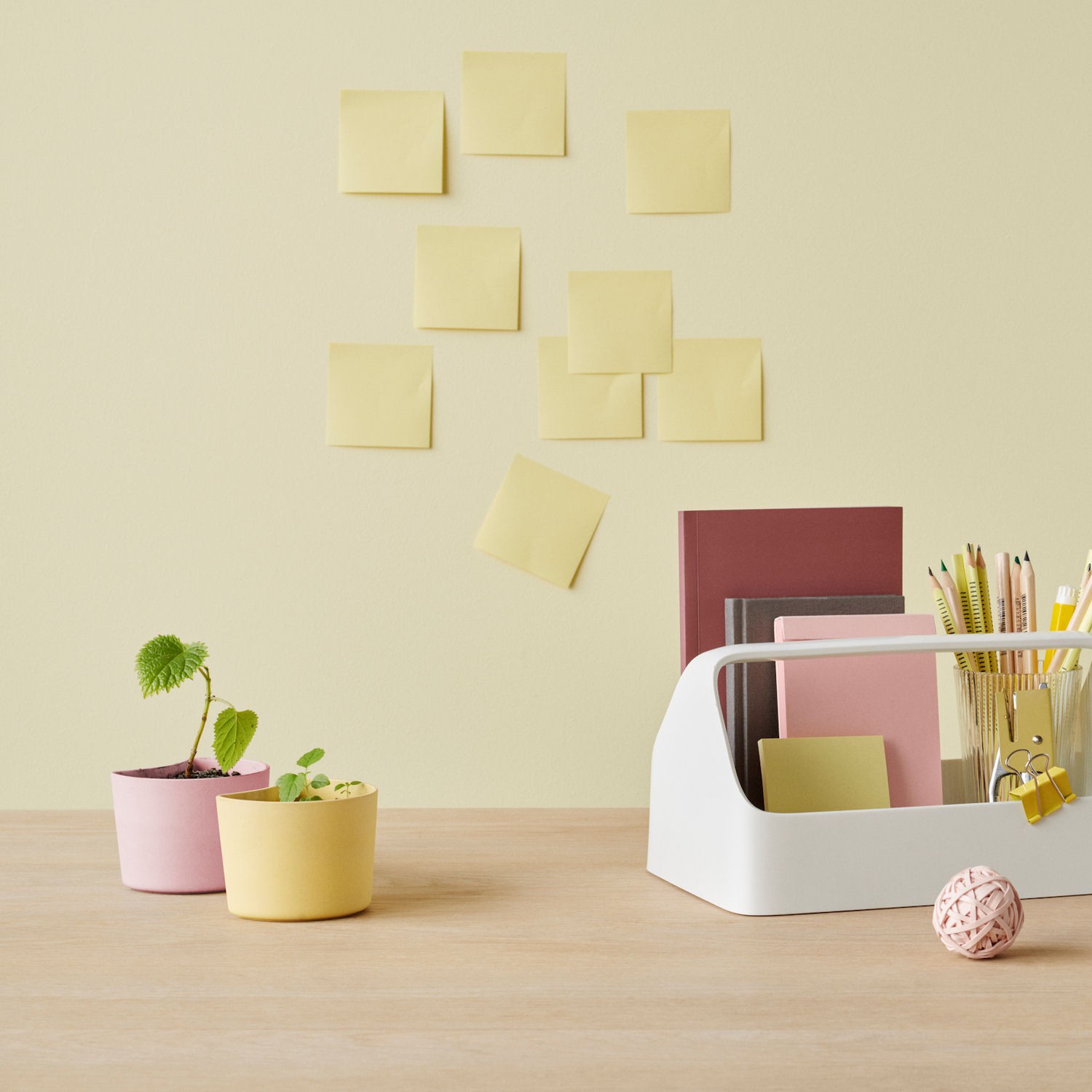 Rig-Tig Your Tree Doniczka z nasionami sosny