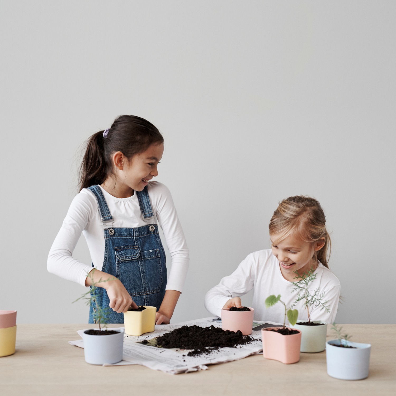 Rig-Tig Your Tree Doniczka z nasionami sosny