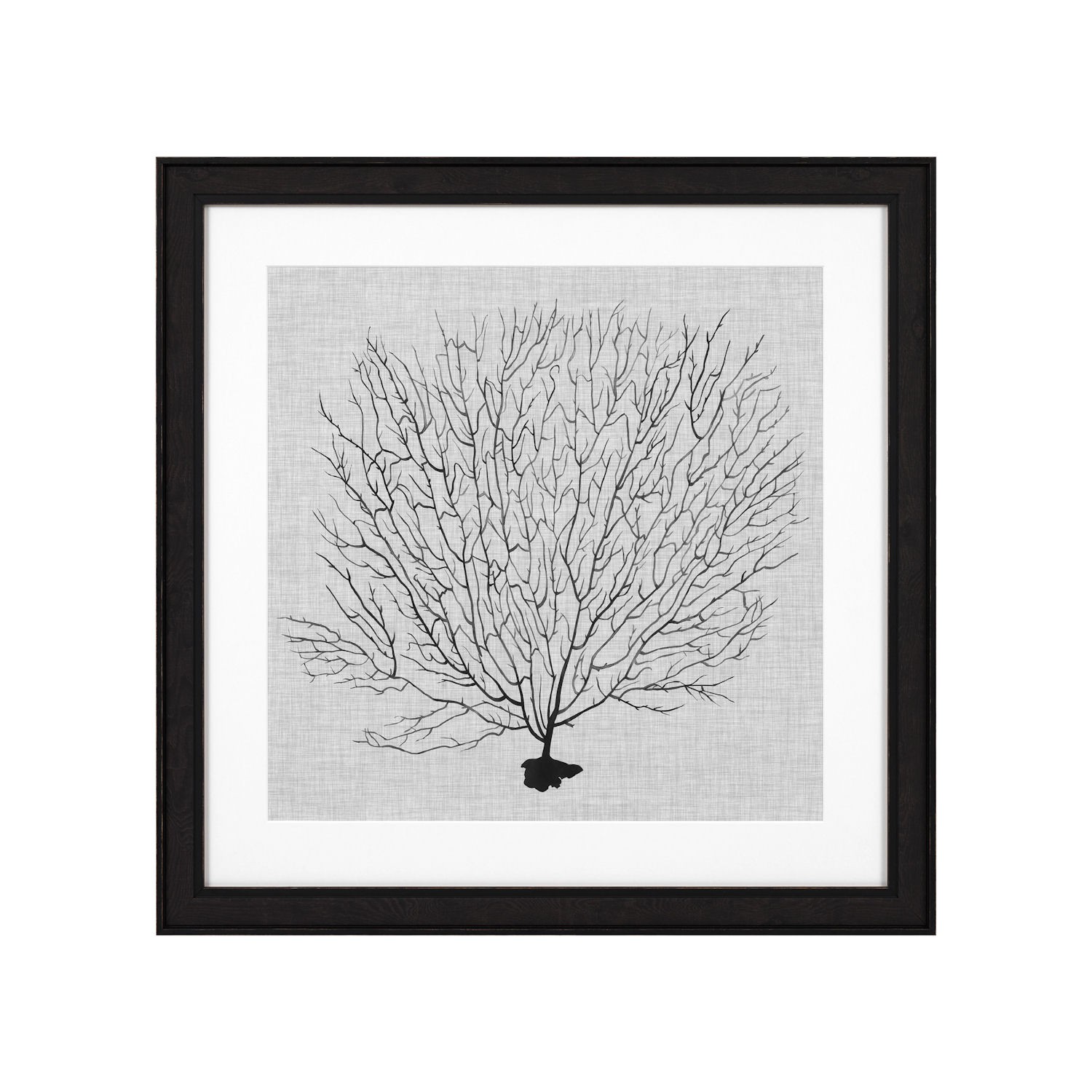 Eichholtz Shadow Sea Fans EC 289 zestaw 4 fotoobrazw