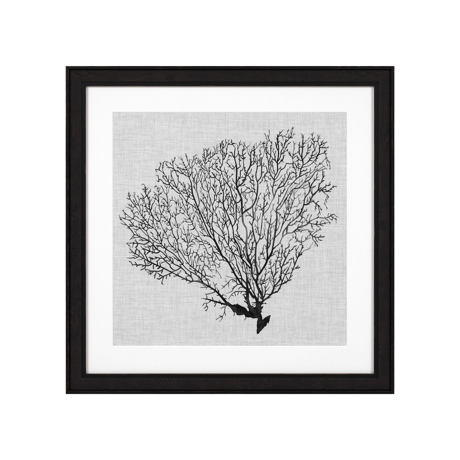 Eichholtz Shadow Sea Fans EC 289 zestaw 4 fotoobrazw
