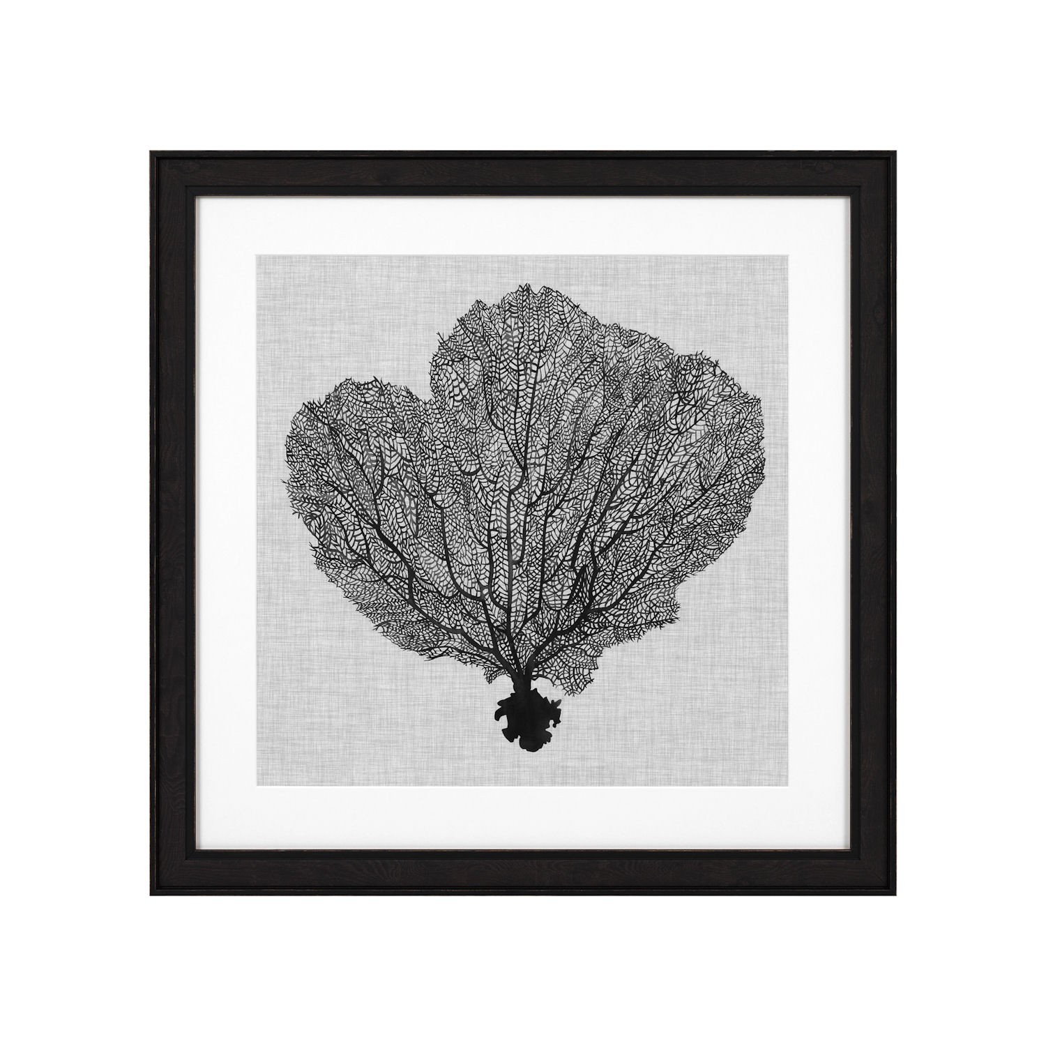 Eichholtz Shadow Sea Fans EC 289 zestaw 4 fotoobrazw