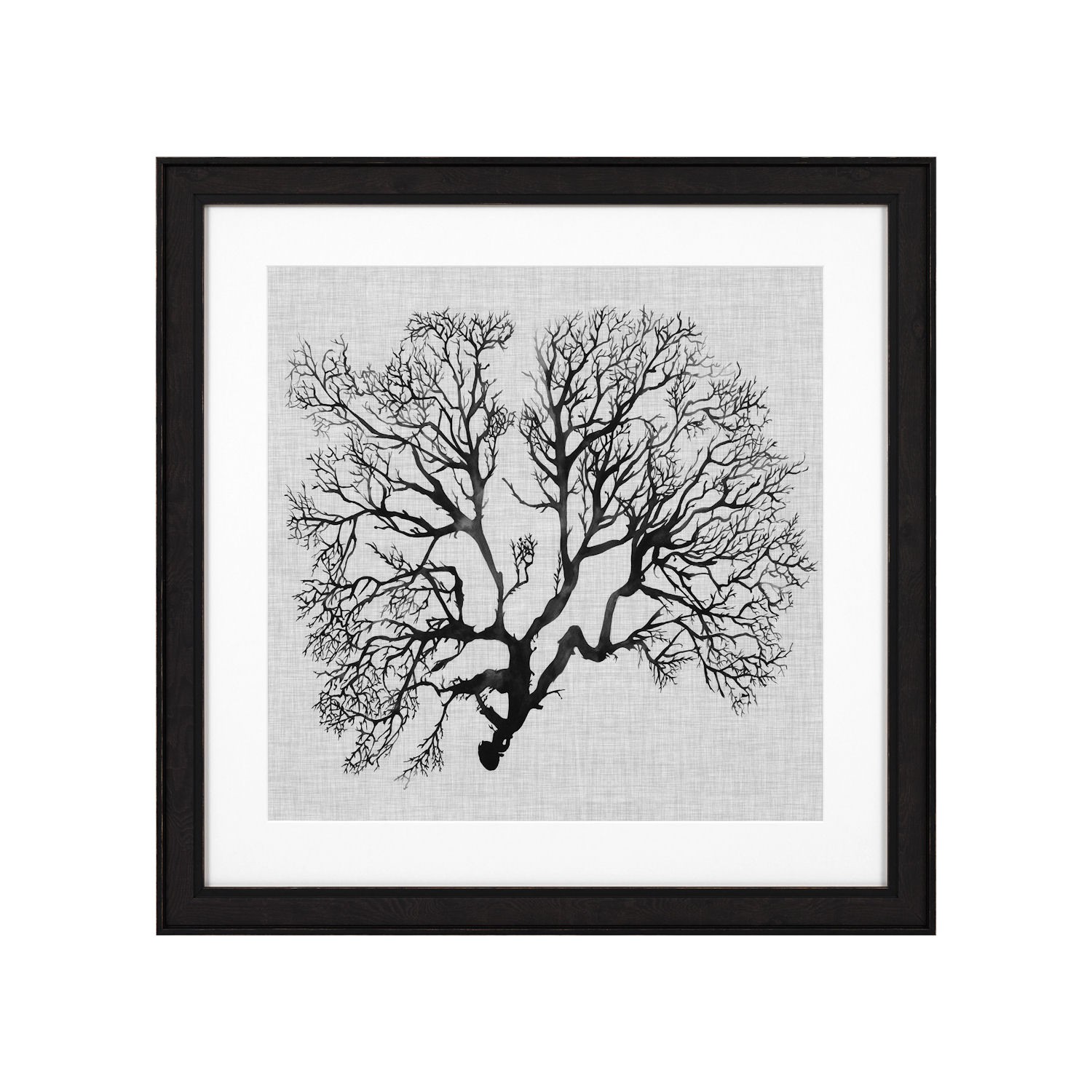 Eichholtz Shadow Sea Fans EC 289 zestaw 4 fotoobrazw