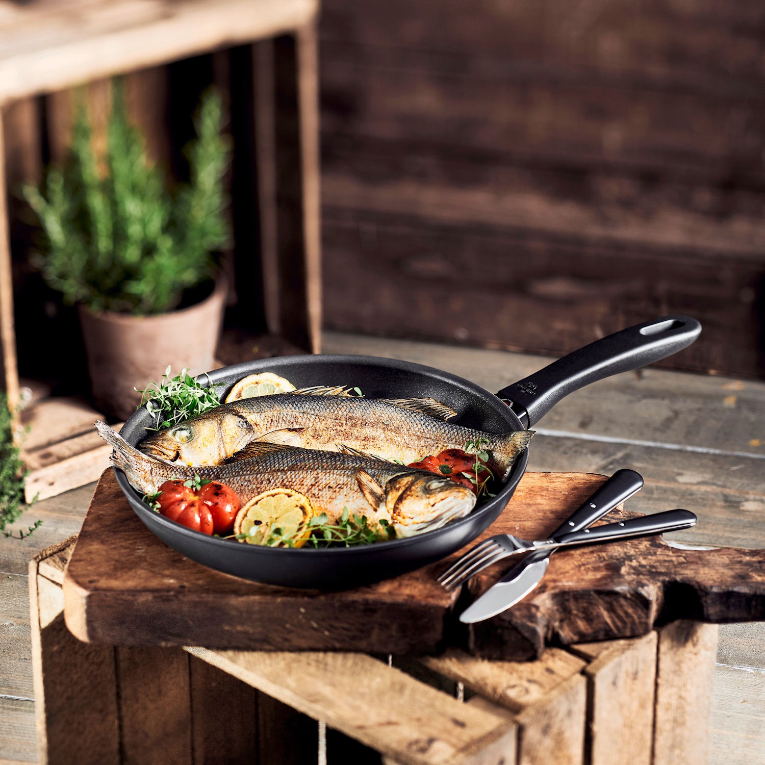 Ballarini Avola patelnia p�ytka z pow�ok� nieprzywieraj�c�