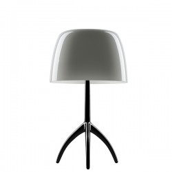 FOSCARINI Lumiere 05 lampa stojca, kolor szaro-czarny