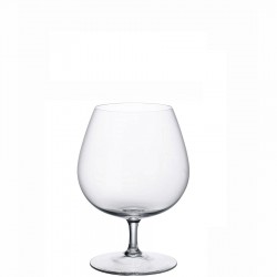 Villeroy & Boch Purismo Special kieliszek do brandy