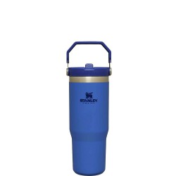 Stanley Flip Straw Tumbler kubek The IceFlow