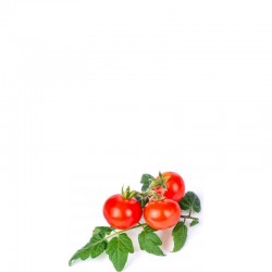Veritable Lingot Wkad nasienny pomidorki koktajlowe