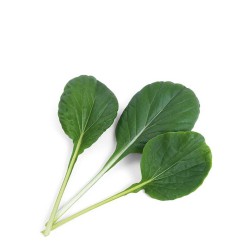 Veritable Lingot Smaki Azji Wkad nasienny - Tatsoi