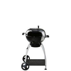 Roesle Sport Grill wglowy