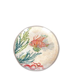 Rose Tulipani Sea Life zestaw 2 talerzy do sa�atek