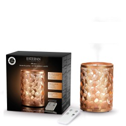 Esteban Cuivre and Lumiere Dyfuzor mgieki zapachowej