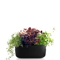 Selfwatering doniczka na zioa