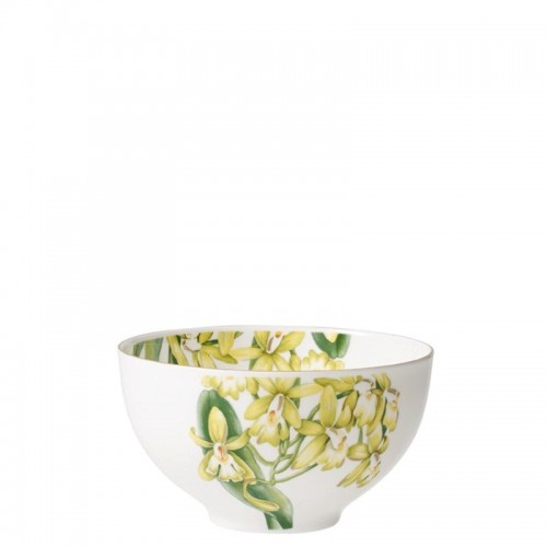 Villeroy & Boch Amazonia Miska