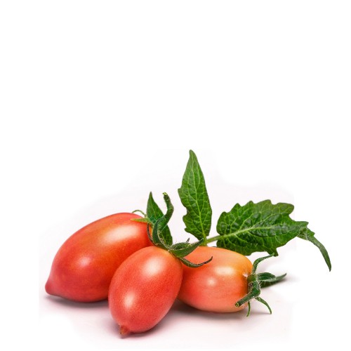 Veritable Lingot Wkad nasienny, mini warzywa - pomidor koktajlowy, rowy