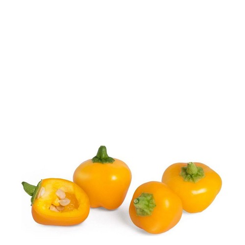Veritable Lingot Wkład nasienny, mini warzywa - papryka żółta
