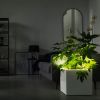 Lechuza CANTO Premium Donica LED z podwietleniem zdjcie dodatkowe 2