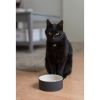 Magisso Cooling Ceramics Miska dla kota zdjcie dodatkowe 2