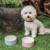 Magisso Naturally Cooling Ceramics miska dla psa rozm.L zdjcie dodatkowe 2
