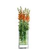 Philippi Decade wazon na kwiaty zdjcie dodatkowe 2