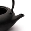 Bredemeijer Shanxi Zestaw do parzenia herbaty zdjcie dodatkowe 4