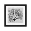 Eichholtz Shadow Sea Fans EC 289 zestaw 4 fotoobrazw zdjcie dodatkowe 5