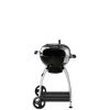 Roesle Sport Grill wglowy zdjcie dodatkowe 2