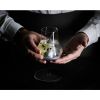 Peugeot ATMOSPHERE zestaw szklanek do degustacji whisky zdjcie dodatkowe 4