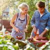 Wusthof Urban Farmer N szefa kuchni zdjcie dodatkowe 2