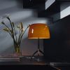 FOSCARINI Lumiere 05 lampa stojca, kolor bursztynowy zdjcie dodatkowe 2